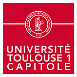 Logo Université Toulouse 1 Capitole