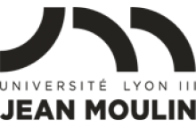 Logo Université Lyon 3